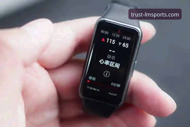 LM体育数据查询深度评测：老用户全面体验分享与实用指南